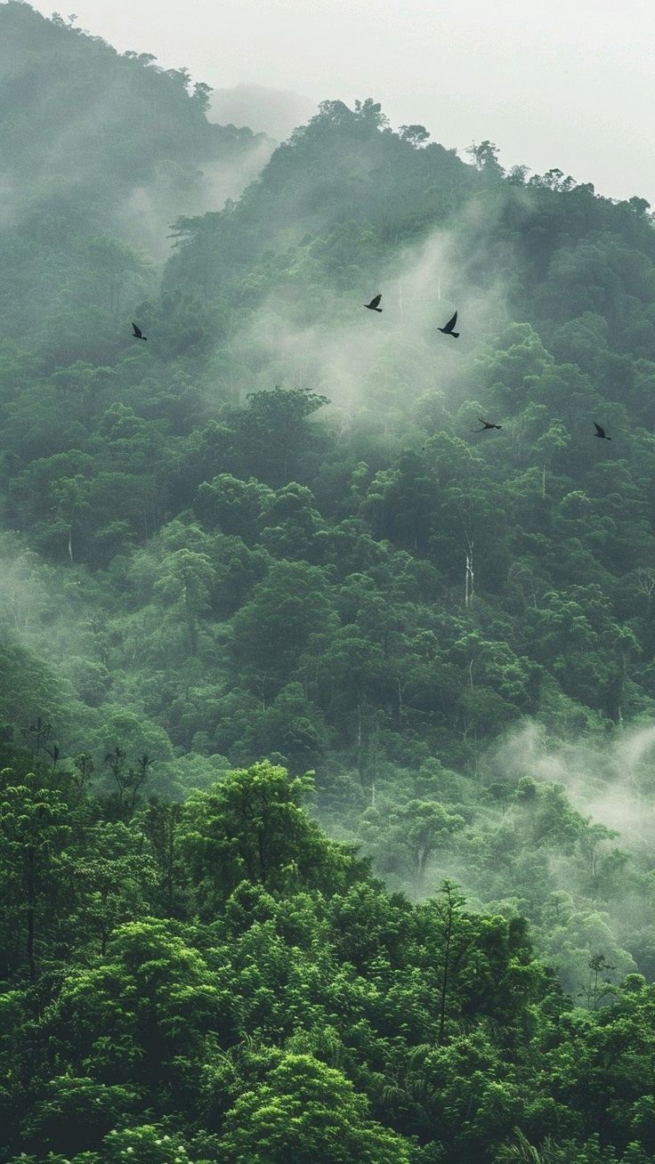 Celebrating World Environment Day 2025: A gentle reminder to live a little slower