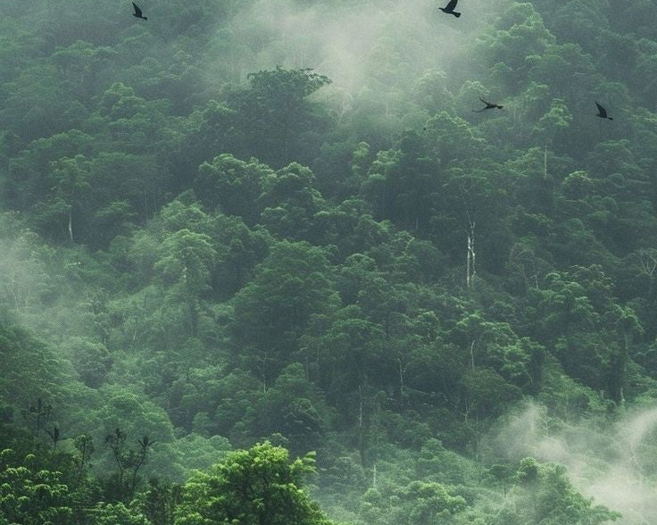 Celebrating World Environment Day 2025: A gentle reminder to live a little slower