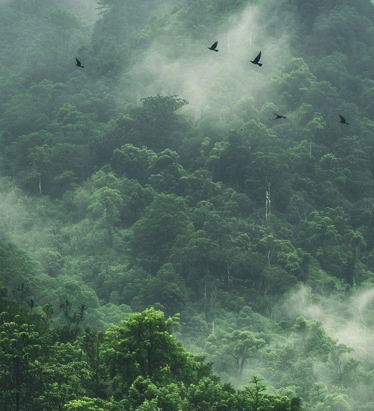 Celebrating World Environment Day 2025: A gentle reminder to live a little slower