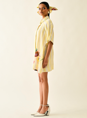 Bloomstripe Shirt A-line Dress
