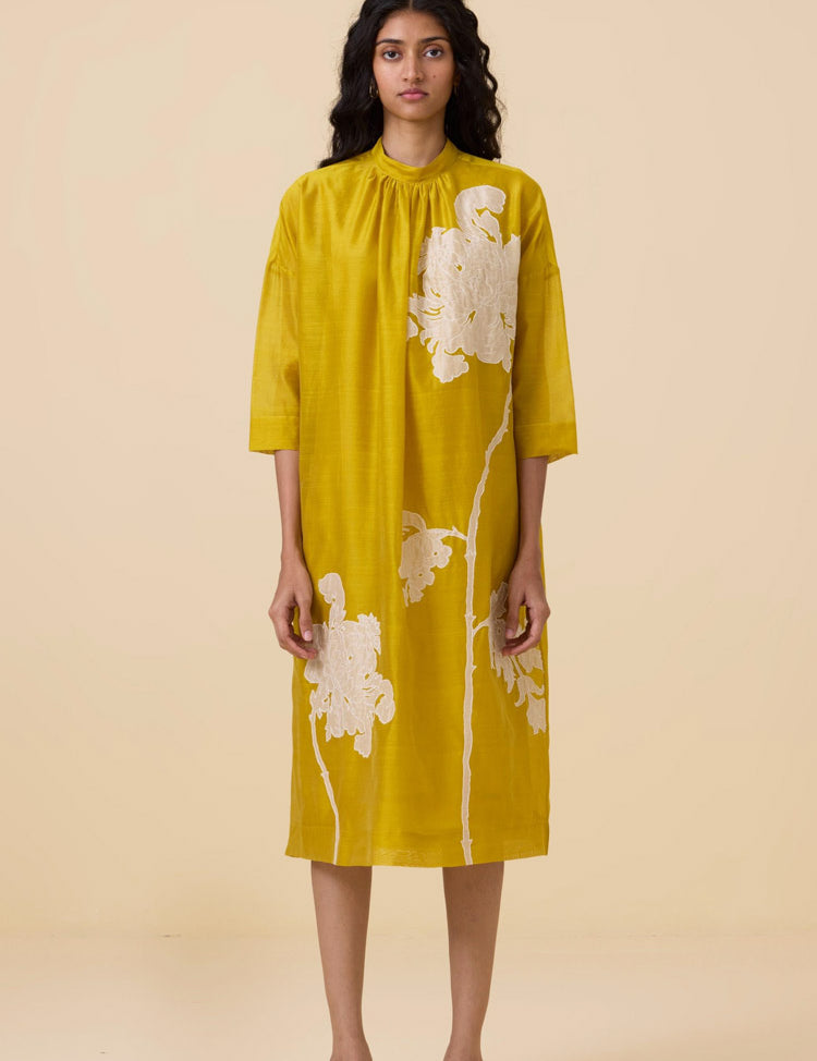Aira-Embroidered-Dress-A.jpg
