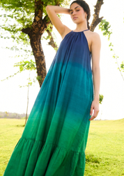 Birds of Paradise Dress