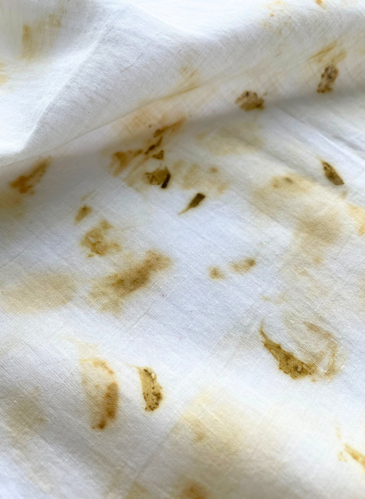 Blooms of Fall Cotton Scarf