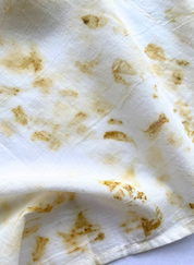 Blooms of Fall Cotton Scarf