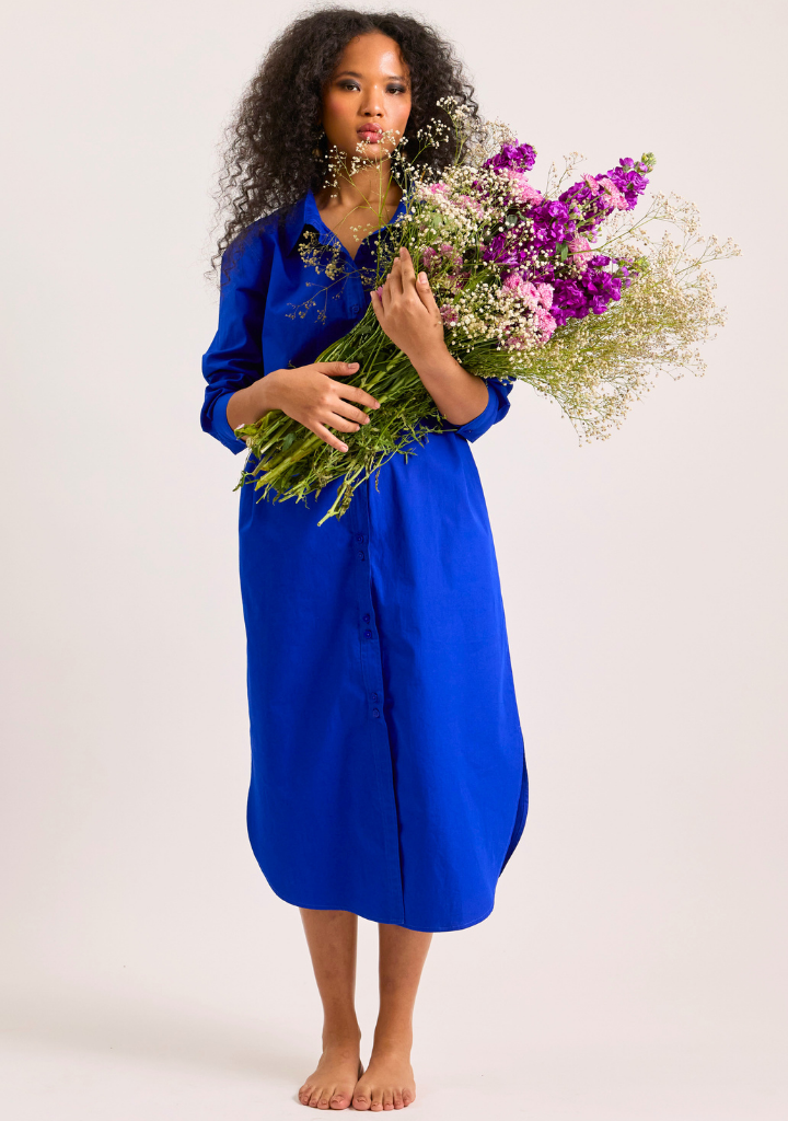 Blue Butterfly Dress