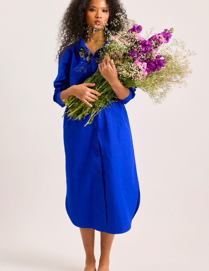 Blue-Butterfly-Dress-A.png