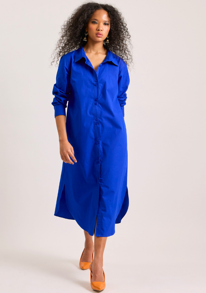 Blue Butterfly Dress