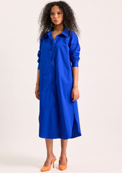 Blue Butterfly Dress