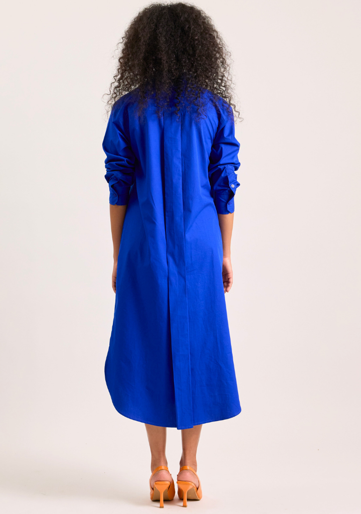 Blue Butterfly Dress