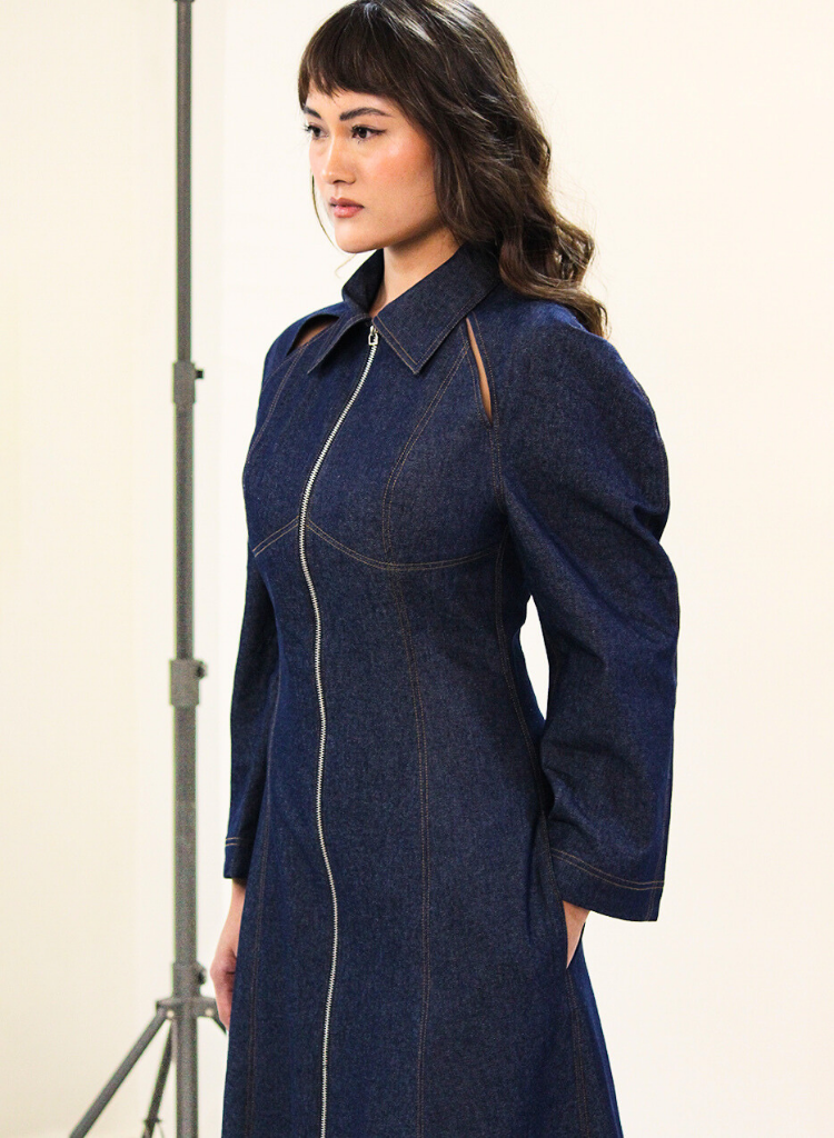 Denim Zip Dress