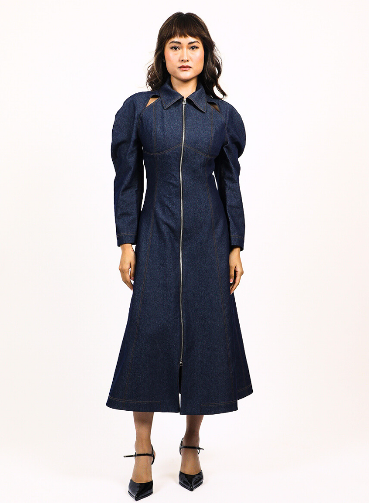 Denim Zip Dress