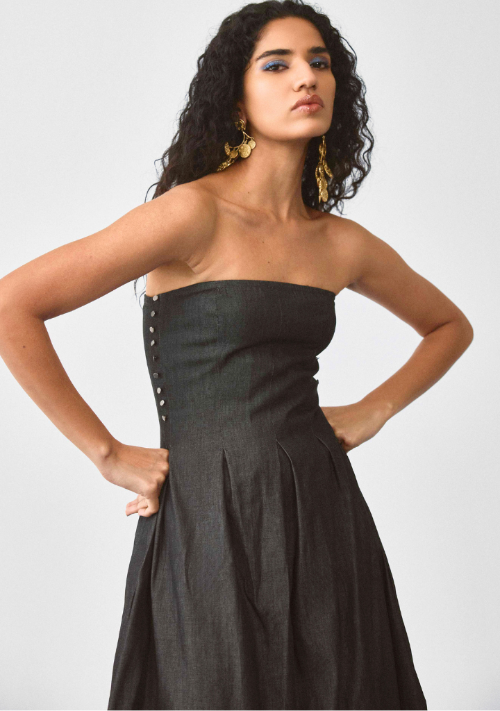 Echo Flared Balloon Dress