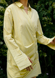 Gaia Shirt Dress