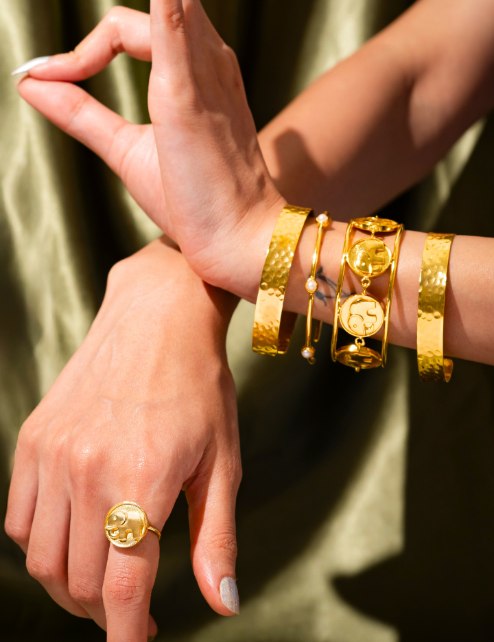 Gajraj-Rings-A.png