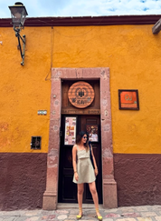 Horseshoe Short Dress