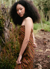 Indus Dress