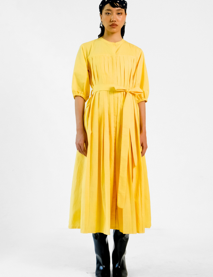 Iris-Pleated-Dress-E.png