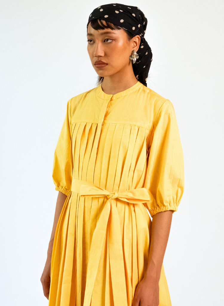 Iris Pleated Dress