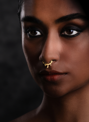 Jharkhali Septum