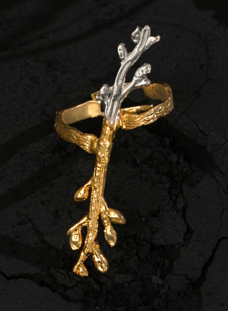 Jharkhali Ring