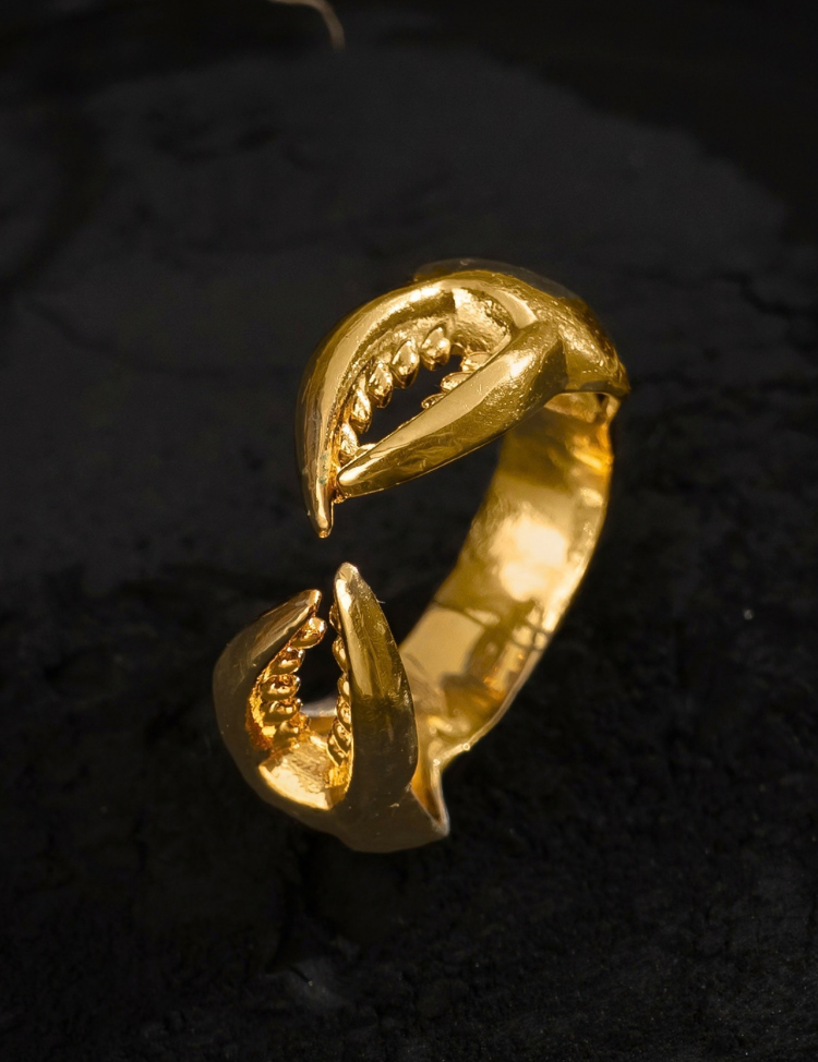 Kakra-Nokh-Ring-A.png