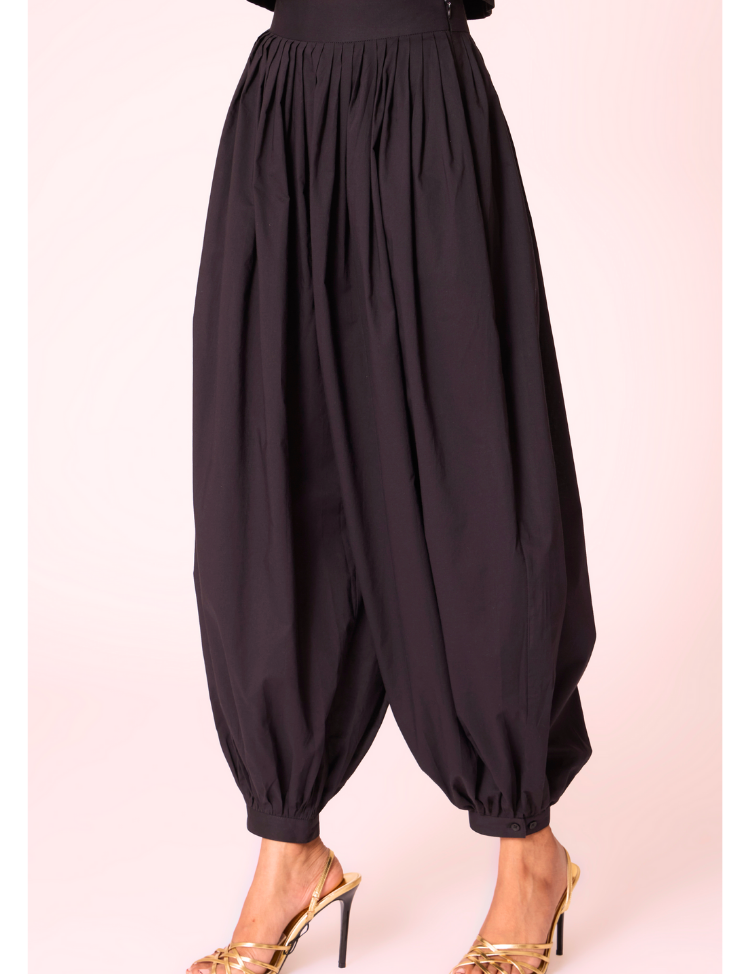 Katya-Pleated-Pants-C.png