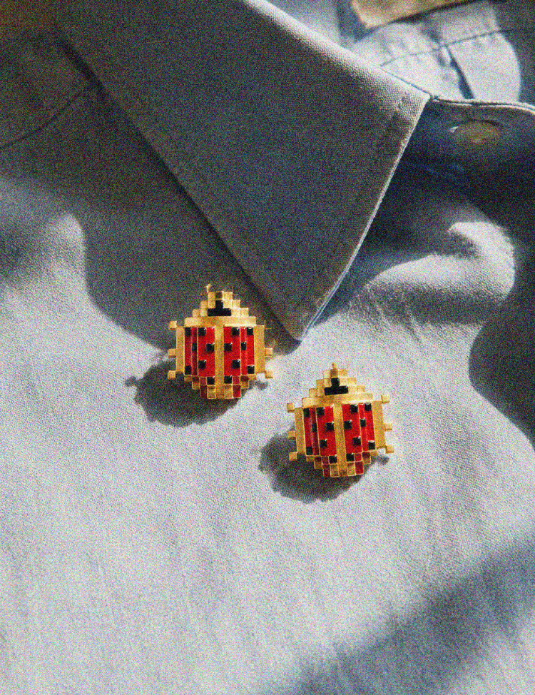 Ladybird-Brooch-Medium-C.png