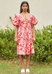 Le Blush Pleated Dress