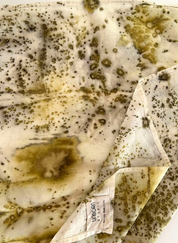 Lost in Forest Cotton Scarf