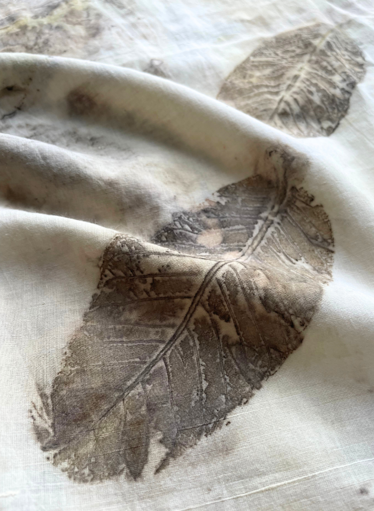 Perennial Autumn Cotton Scarf