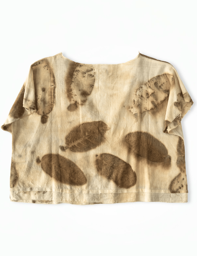 Perennial-Autumn-Easy-Top-C.png