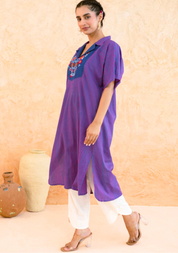Pink & Blue Striped Kurta