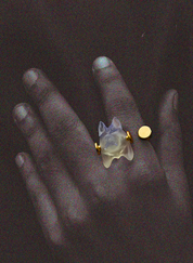 Primalis Ring