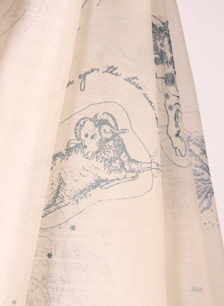 Saiph Handwoven Saree