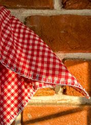 Checkered Embroidered Scarf Cirqlet