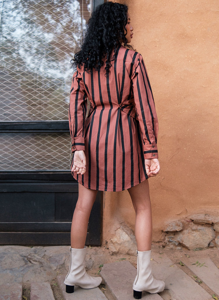 Seattle Stripe Shirt Dress