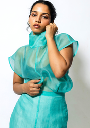 Sheer Cowl Neck Top