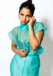 Sheer Cowl Neck Top