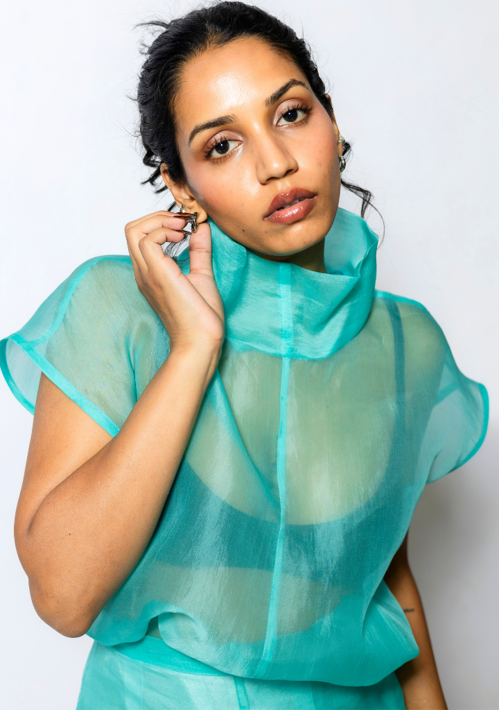Sheer Cowl Neck Top