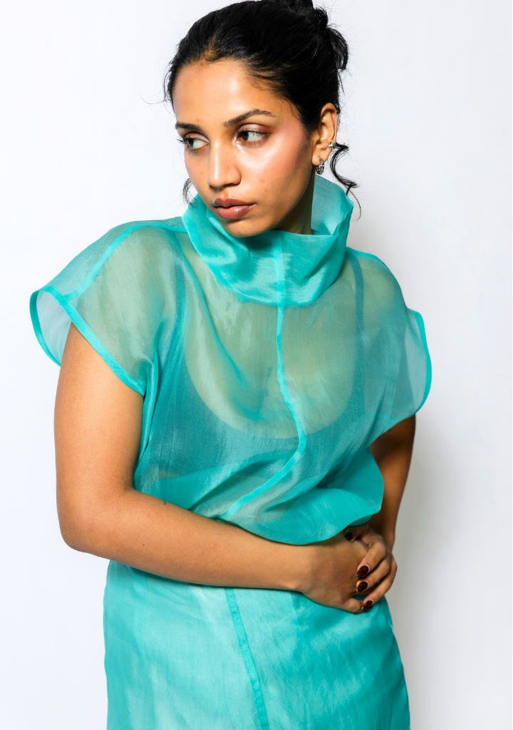 Sheer Cowl Neck Top