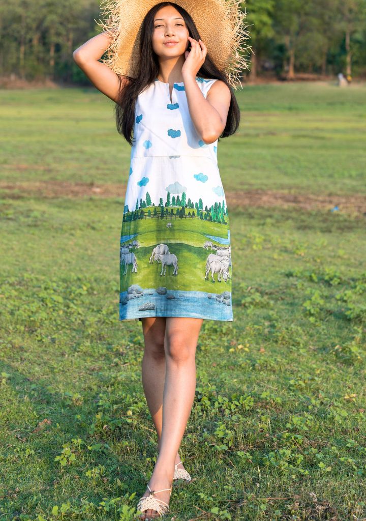 Shepherd Pocket Dress