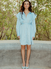 Skyline Ruffle Dress