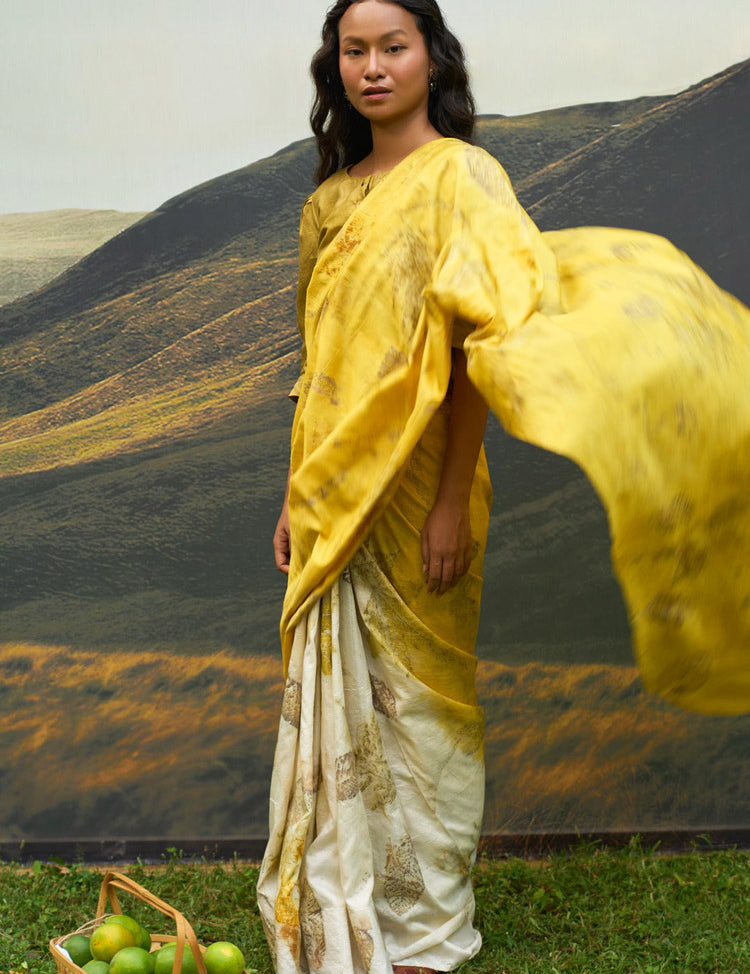 Yellow-Saree-B.jpg