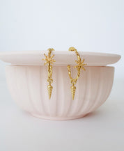 Cinnamon Shell Hoops