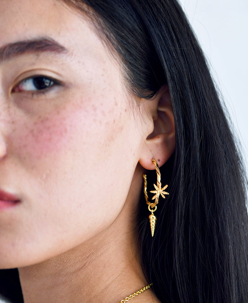 Cinnamon Shell Hoops