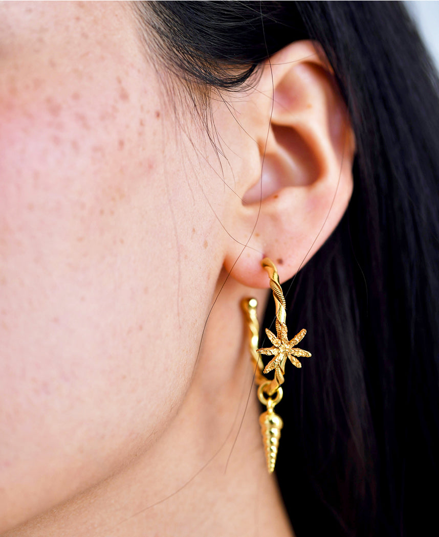 Cinnamon Shell Hoops