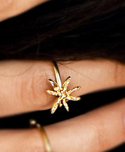 Cinnamon Star Ring