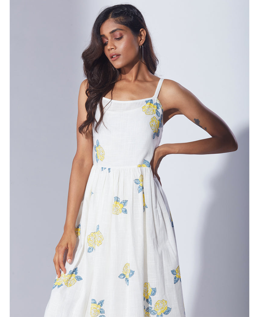 Silence of Nature Dress